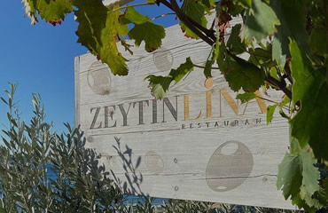 Zeytin Lina Bodrum Hakkımızda